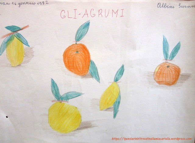 Gli agrumi - disegno scuola elementare del 14 gennaio 1982 di Susanna Albini
